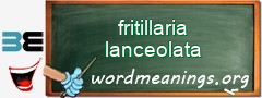 WordMeaning blackboard for fritillaria lanceolata